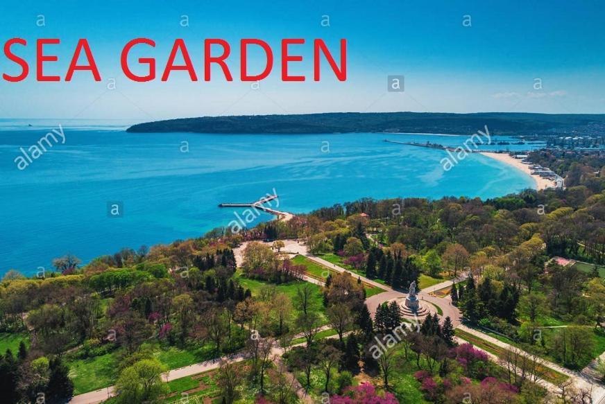 Sweet Home Near The Sea Varna Exterior photo